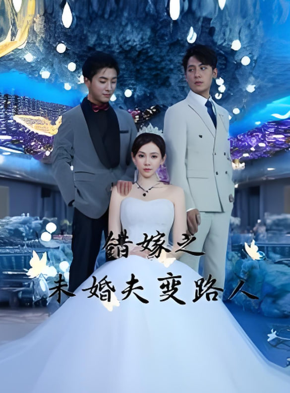错嫁之未婚夫变路人(全集)
