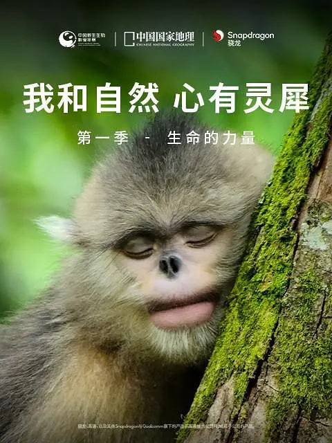 我和自然 心有灵犀 第一季(全集)