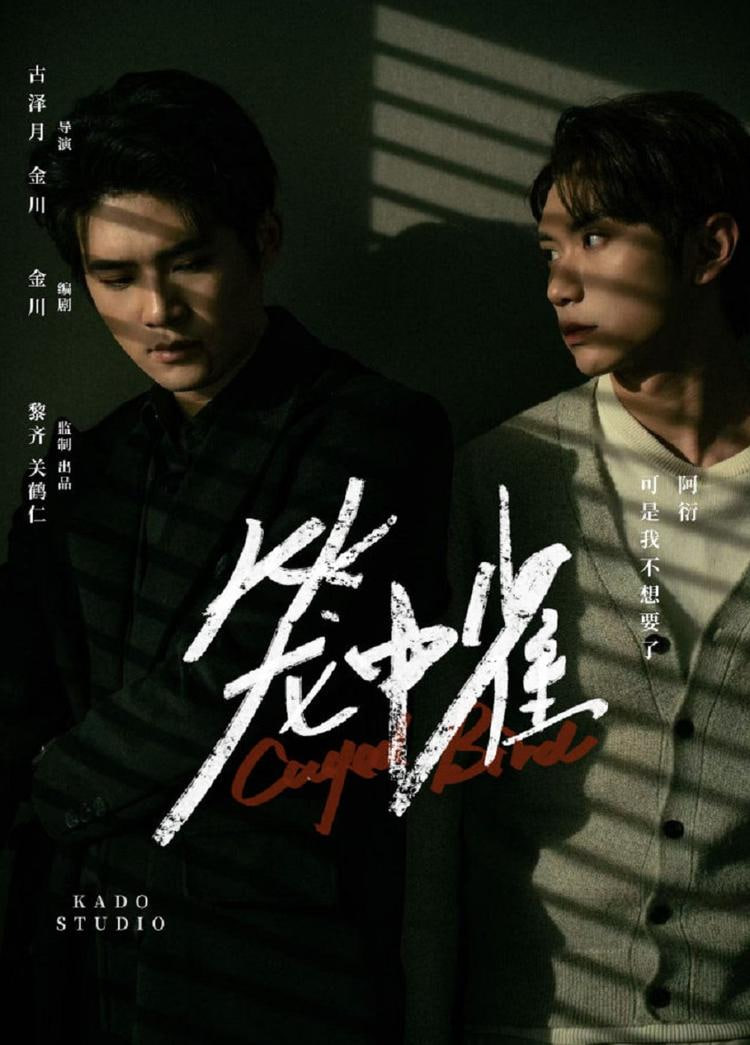 笼中雀(全集)