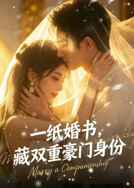 一纸婚书，藏双重豪门身份(全集)