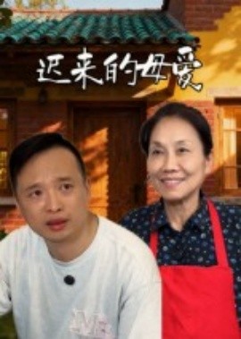 迟来的母爱(全集)