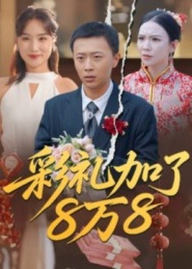 彩礼加了8万8(全集)