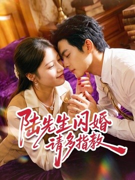 陆先生闪婚请多指教(全集)