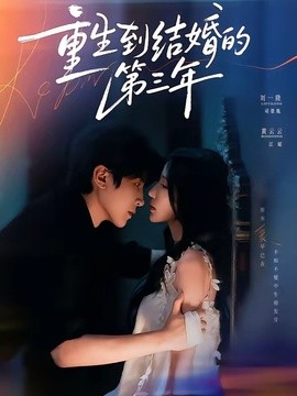 重生到结婚的第三年(全集)